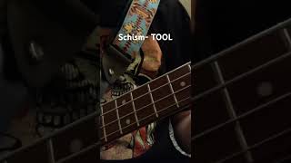 Schism bass cover bass guitar TOOL metal schism [upl. by Fiel]