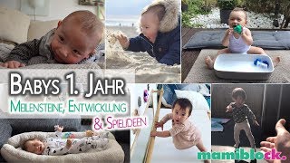 Babys erstes Jahr 🥰 Meilensteine Entwicklung amp Spielideen  mamiblock [upl. by Akemat]