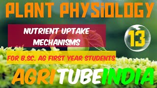 Plant Physiology  Nutrient Uptake Mechanisms  BSc Ag 1st Year 2nd Sem  PrePG  BHU  ICAR JRF [upl. by Neehsas]