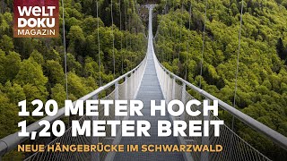 BLACKFORESTLINE HÄNGEBRÜCKE TODTNAU Ein atemberaubendes Meisterwerk der Ingenieurskunst  Magazin [upl. by Ody]