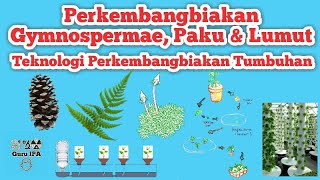 Perkembangbiakan Tumbuhan Gymnospermae  Paku amp Lumut Serta Teknologi Perkembangbiakan Pada Tumbuhan [upl. by Butterworth]