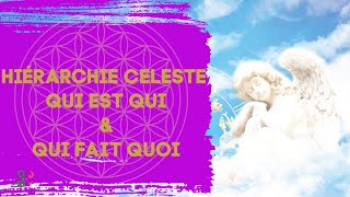 Anges guides spirituels anges gardiens  Hiérarchie Céleste Qui est qui et qui fait quoi [upl. by Ahtenek195]