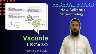 Vacuole  Vacuole structure and function  class 11 [upl. by Lidaa]