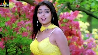 Shriya Video Songs Back to Back  Telugu Latest Songs Jukebox  Sri Balaji Video [upl. by Oinotnas283]