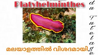 PHYLUM PLATYHELMINTHESDetailed description in malayalam [upl. by Farris]