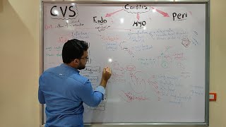 CVS module  Carditis  Endo Myo Peri [upl. by Aikmat]