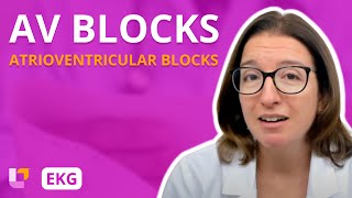 Atrioventricular Blocks AV Blocks  EKG Interpretation  LevelUpRN [upl. by Cliff]