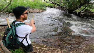 Fishing a Tiny Stream for Wild Trout in Colorado Feat Midggonewild [upl. by Gerson]