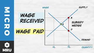 Wage Subsidies [upl. by Ezzo]