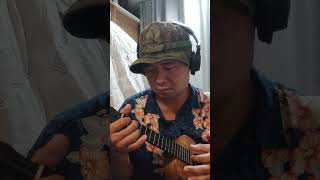 Solo Hey Silly Fools Ukulele ukulelecover [upl. by Naek]