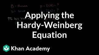 Applying the HardyWeinberg equation  Biomolecules  MCAT  Khan Academy [upl. by Eedak]