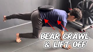 Limb Lifting Bear Crawls  Get Ready For An Athletic Burn [upl. by Rengia804]