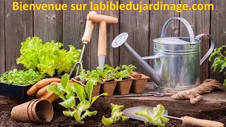 Calendrier annuel potager jardin et verger [upl. by Ameerahs450]