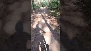 Zjazd w Lasku mtb enduro downhill downhillbiking downhilllife mountainbike [upl. by Ahsienroc]