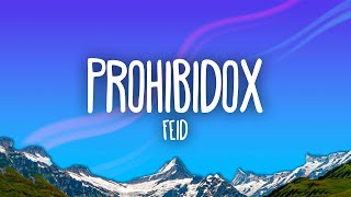 Feid  Prohibidox [upl. by Etessil262]