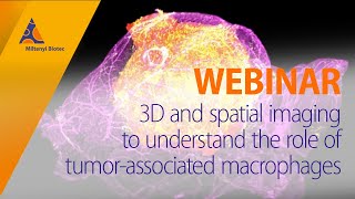 3D and spatial imaging to understand the role of tumorassociated macrophages WEBINAR [upl. by Innis554]