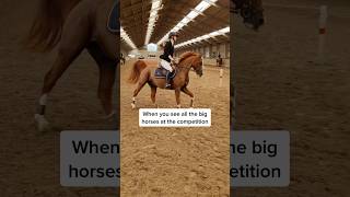 Do you also get nervous at competitions 🫠 horse horses pony riding equestrian pferde funny [upl. by Paymar]