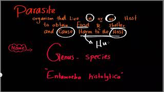 Parasitology 01 introduction »DrMoaz [upl. by Nyrtak580]