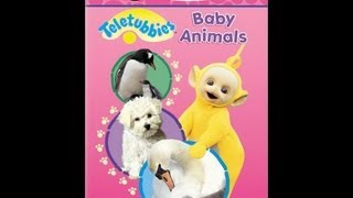 Teletubbies Baby Animals [upl. by Naitsabas]