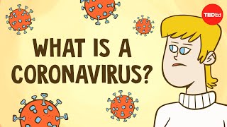 What is a coronavirus  Elizabeth Cox [upl. by Einnahc]