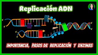 Replicación del ADN  Duplicación [upl. by Rednijar]