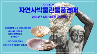 오아시스자연사박물관물품경매2024년6월8일토오후2시진주문스톤6월탄생석에메랄드비취옥조각품천연광물진본화석보석수석보석장신구화전옥경옥연옥옥골동품경매 [upl. by Cordle]