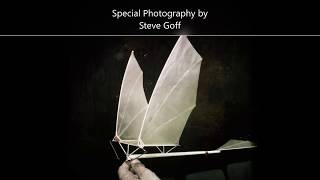 Building Birdy Ornithopter Plus Flight Video  Da Vinci Inspired [upl. by Ladiv]