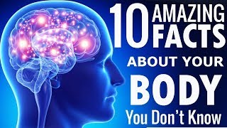 10 Amazing Facts About Human Body You Dont Know About  Astounding Facts [upl. by Livy722]