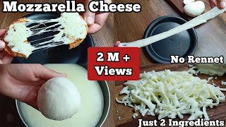 How to Make Mozzarella Cheese Just 2 Ingredients RecipeHomemade Pizza Cheese [upl. by Yate]