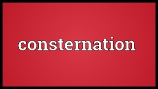 Consternation Meaning [upl. by Issie]