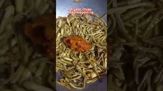 organic chyau foodlover viralsong shortvideo subscribemychannel bardiya vlogs [upl. by Giverin572]