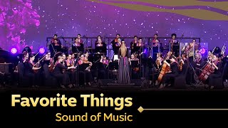 Favorite Things  Sound of Music  Firdaus Orchestra [upl. by Aislehc]