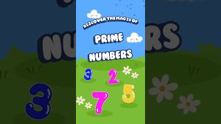 Prime Numbers Up to 1000 🔢  Learn and Master the Basics 🌟  wowsir maths [upl. by Maritsa]