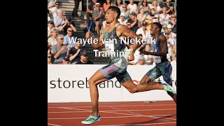 Wayde van Niekerk  Training Compilation [upl. by Caundra]