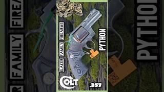 A Close Look at The COLT PYTHON 357 Magnum Special Edition [upl. by Gustav]