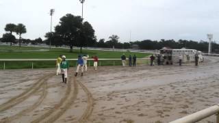 2012 New Orleans Ostrich Race [upl. by Anilegna]