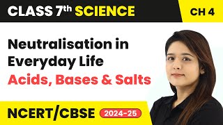 Neutralisation and Neutralisation in Everyday Life  Acids Bases and Salts  Class 7 Science Ch 4 [upl. by Buford323]