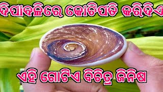 Dipawali 2024  11 ଟି Gomati chakra ଉପାୟ ଭିକାରିରୁ ହେବେ ଧନୀ  diwali 2024 dhanteras odia 2024 diwali [upl. by Maffa]