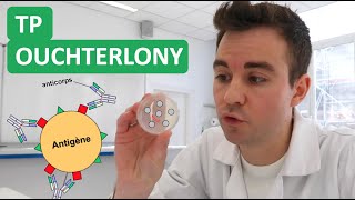 👨‍🔬 TP Ouchterlony 🧫🧪 ECE ultra classique  Objectif 2020 [upl. by Albers]