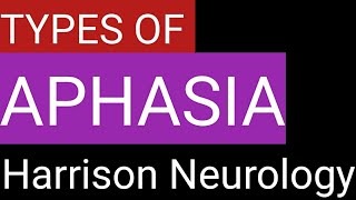 Different types of Aphasia  Harrison Neurology [upl. by Yeta]