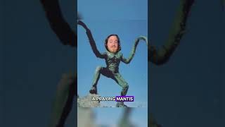 Mantis Man Crazy Cryptids [upl. by Nahtanha]