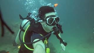 Phuket Shark Point Scuba Diving May 2024 [upl. by Affra837]