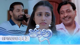 Jaanu  Episode 443  20241105  ITN [upl. by Eirahs]