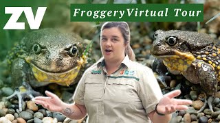 Tour the Healesville Sanctuary Froggery and meet the Southern Giant Burrowing Frog [upl. by Akeimahs111]