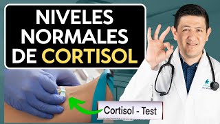 ¿Cortisol causa diabetes Descubre el nivel exacto [upl. by Juley523]