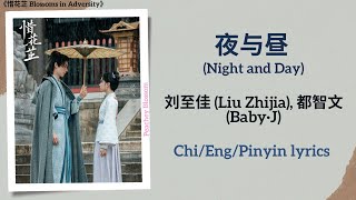 夜与昼 Night and Day  刘至佳 Liu Zhijia 都智文 Baby·J《惜花芷 Blossoms in Adversity》ChiEngPinyin lyrics [upl. by Ankney]