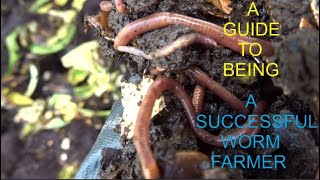 Bulwell Forest Garden Worm Farmers [upl. by Atteras]