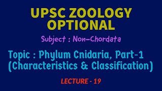 UPSC ZOOLOGY  NonChordata L19  Phylum Cnidaria Part1Characteristics amp Classification IAS [upl. by Ydisac626]