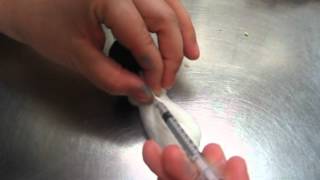 Mouse Subcutaneous Injection [upl. by Attekahs]