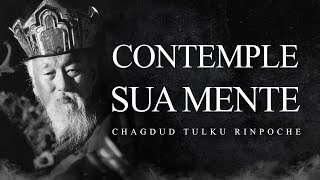 Chagdud Tulku Rinpoche  Contemple sua Mente [upl. by Eikkin]